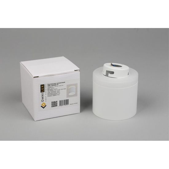 Светильник встраиваемый-накладной OML-102309-16