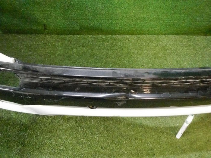 DSCN7624.jpg
