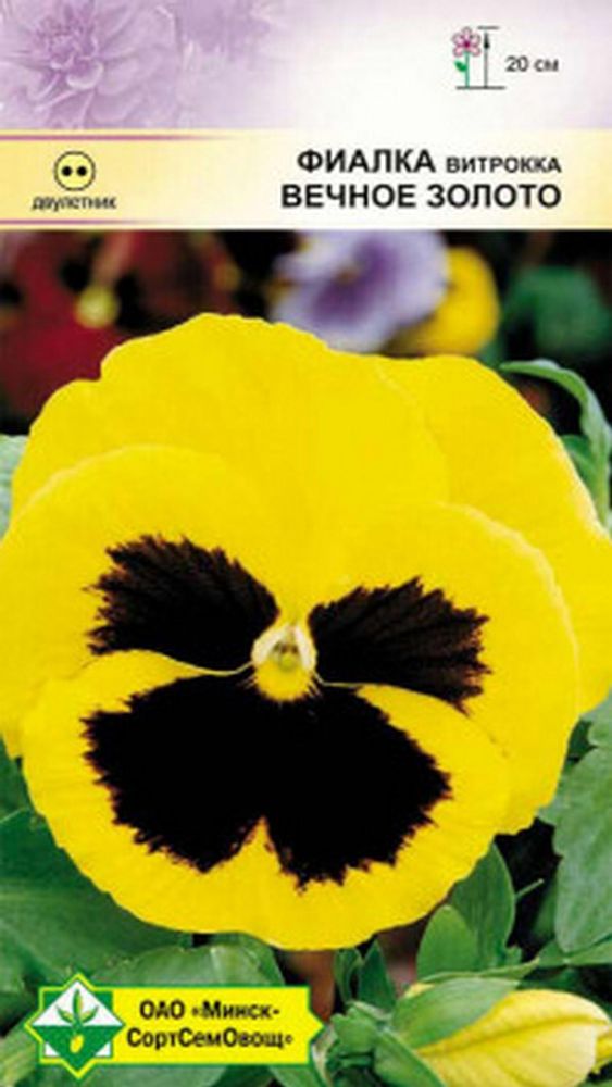 Фиалка витрокка &quot;Вечное золото&quot; 0.1г, Германия.