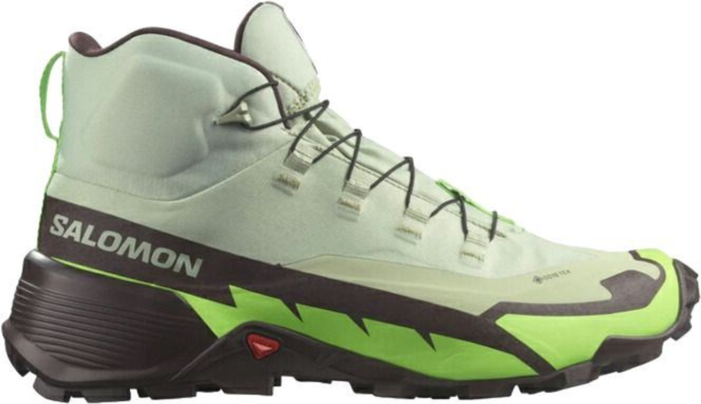 Кроссовки Salomon CROSS HIKE MID GTX 2