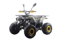 Квадроцикл MOTAX ATV Grizlik Premium 125