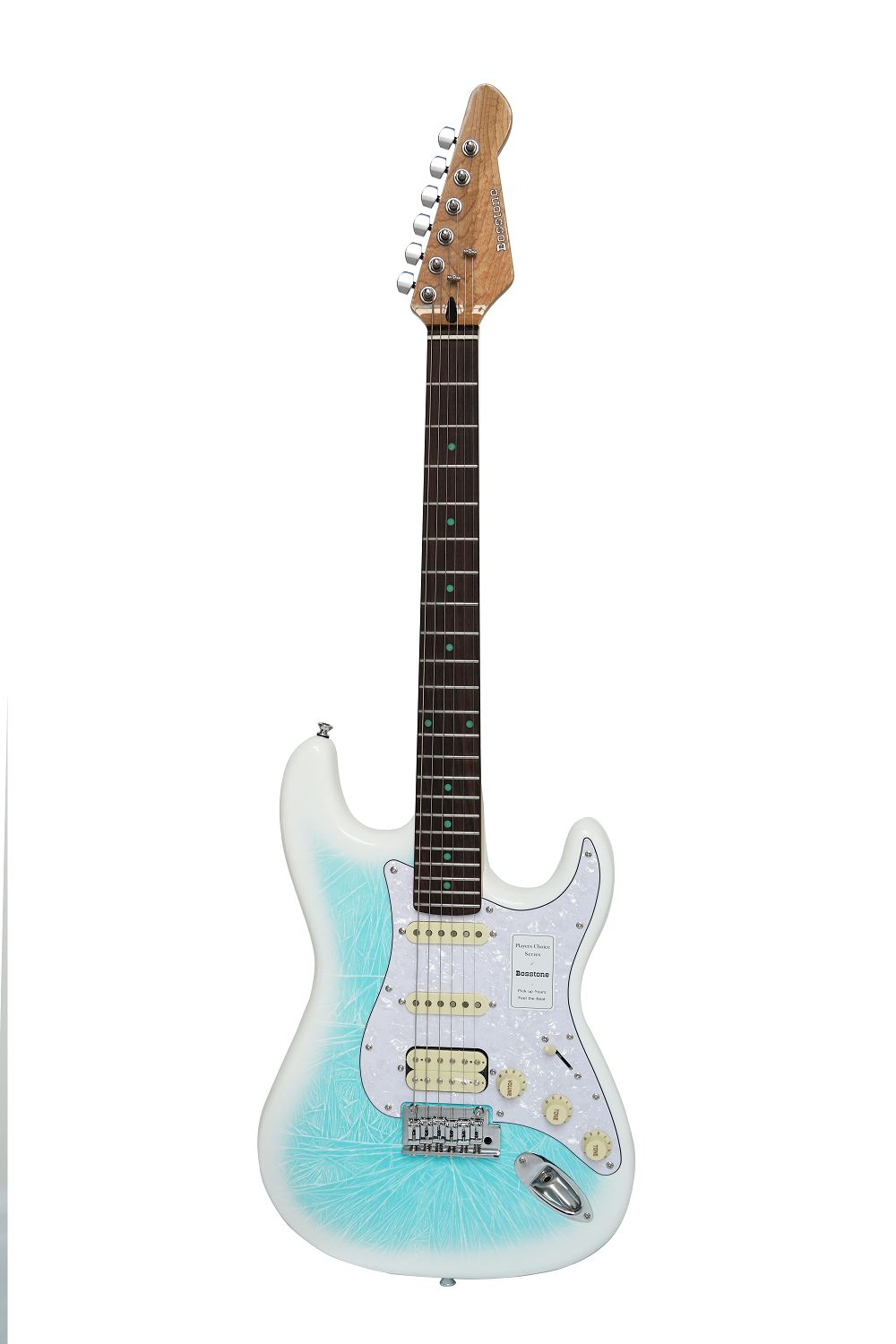 seg_04_frost_(1).png