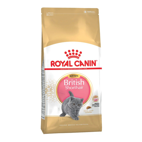 Уценка! Срок 08.08.26/ Сухой корм Royal Canin British Shorthair Kitten для британских короткошерстных котят