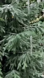 Ель искусственная «Заповедная» (Литая хвоя) 210 см / 2,1 м