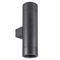 Светильник LGD-RAY-WALL-TWIN-R65-2x12W Day4000 (GR, 6 deg, 230V) Arlight 044232