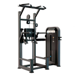 U3009D Турник, брусья с противовесом. Стек 99 кг