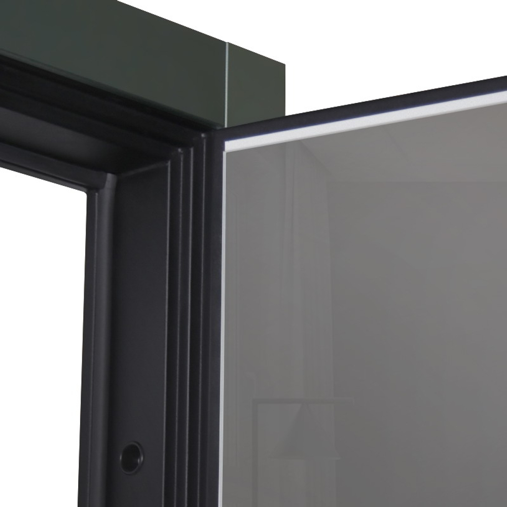 Стальная дверь "Ferrum" с зеркалом (биометрический замок). Заказная модель.