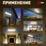 Светильник ЖКХ светодиодный ЭРА SPB-103-0-40K-012 12Вт 4000K IP65 350х75