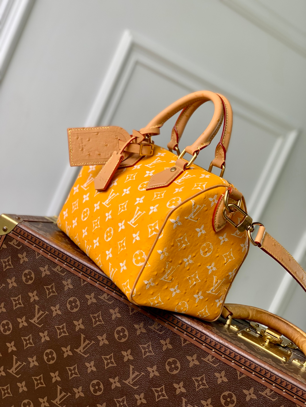 Louis Vuitton Speedy P9 Bandouliere 25