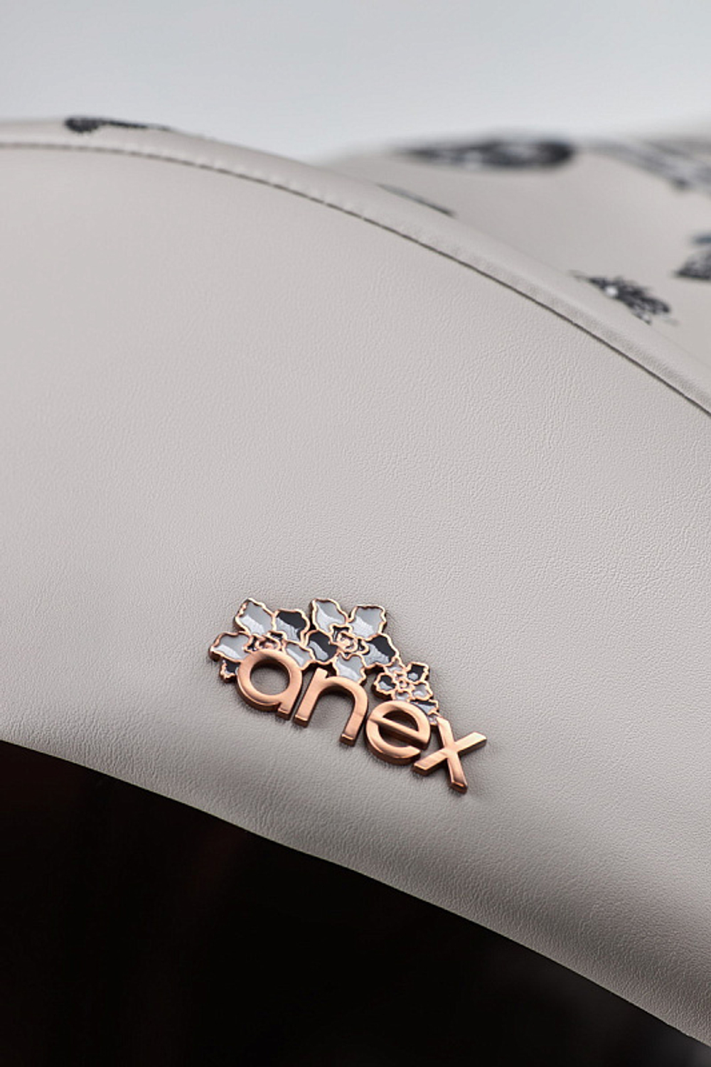 Детская коляска Anex e/type 2 в 1 eden