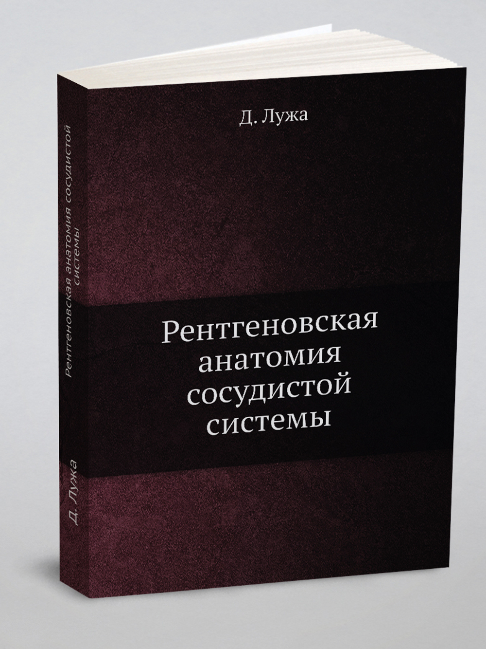Рентгеновская анатомия сосудистой системы | Д. Лужа