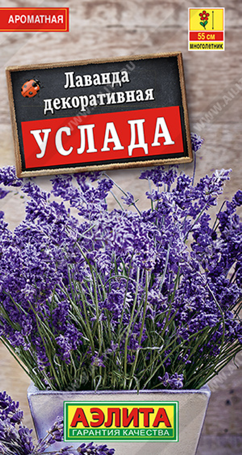 Лаванда декоративная Услада