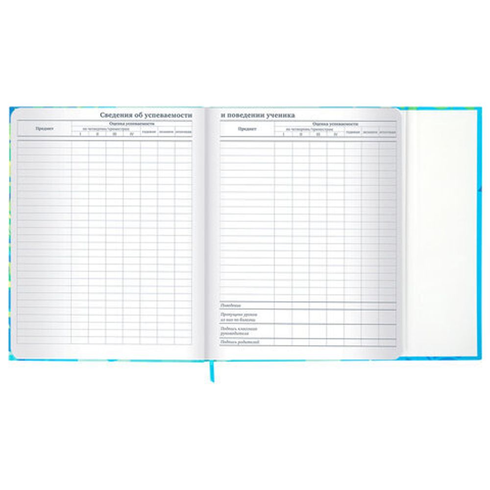 Дневник 1-11 класс 48 л., твердый, BRAUBERG, матовая ламинация, магнитный клапан, закладка-ляссе, с подсказом, "Котик", 107244