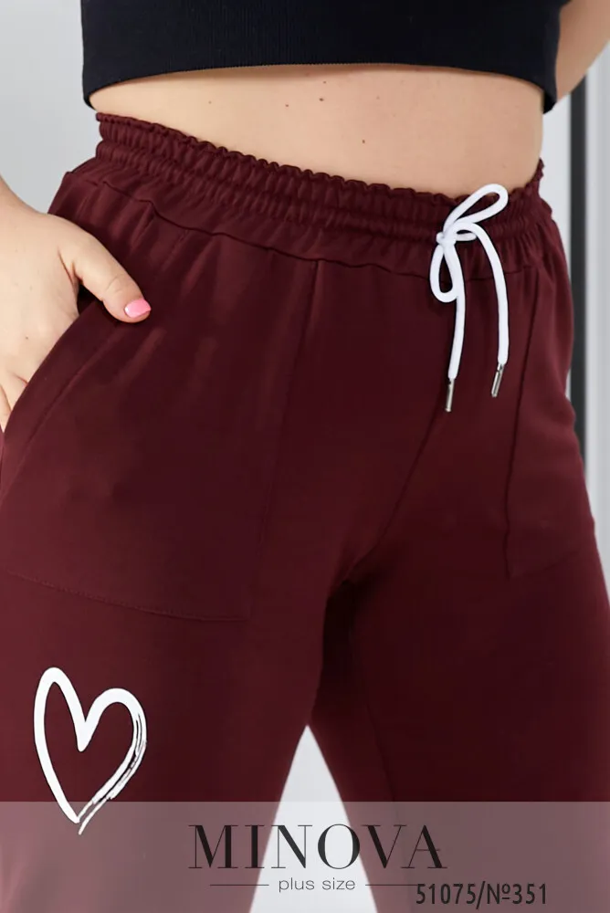 Штаны 351-бордо Minova