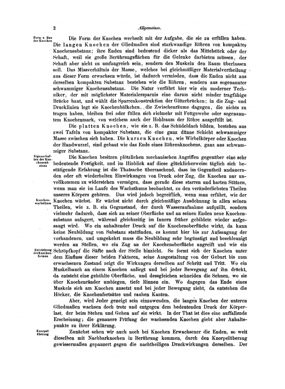 Anatomie Für Künstler | A. Froriep