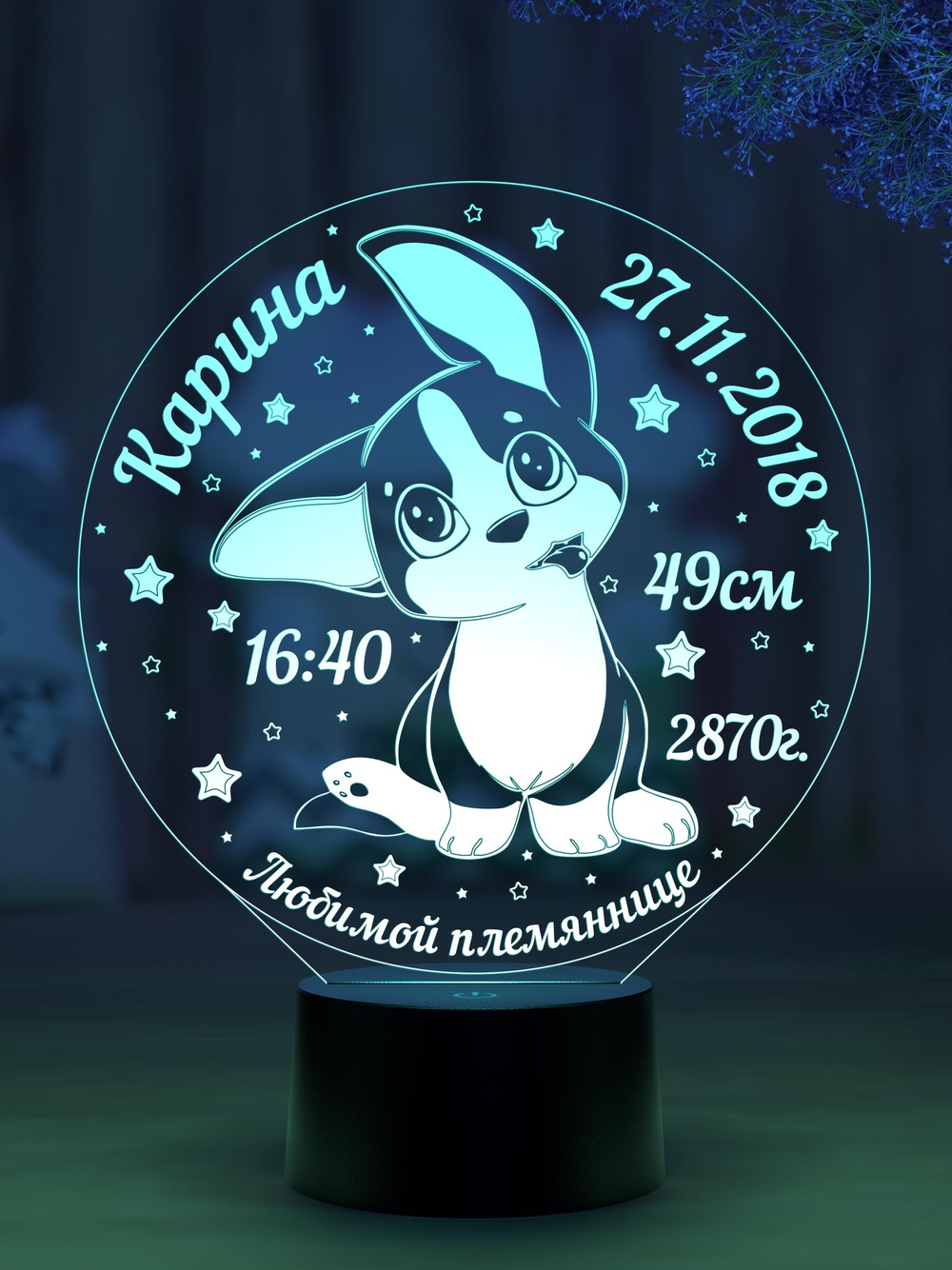 Ночник - Метрика с собачкой (Ваш текст)