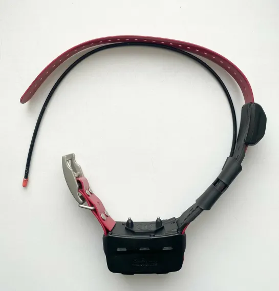 Garmin TT 15X Dog Device