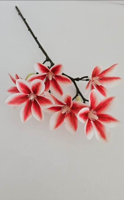 Магнолия / Арт 2134