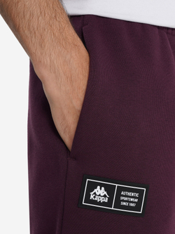 Брюки спортивные мужские KAPPA