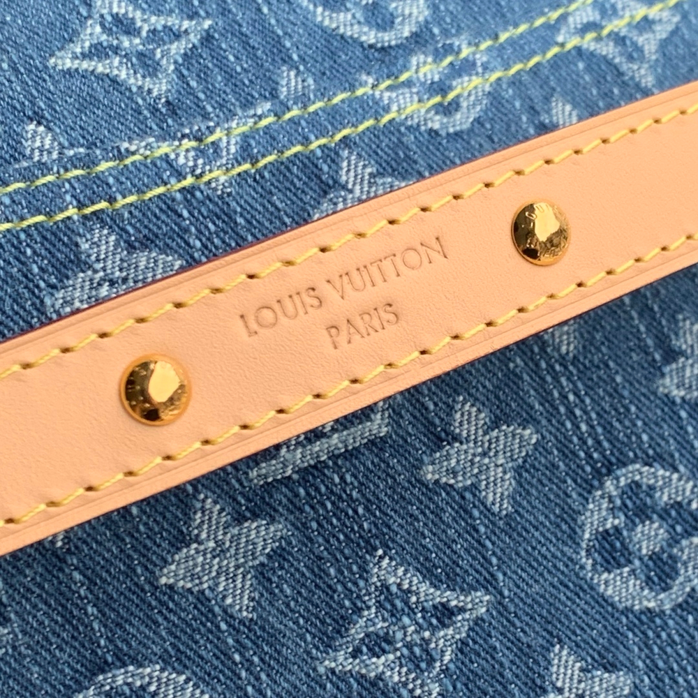 Louis Vuitton Diane