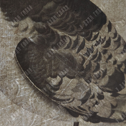 Зепп Ян Кристиан. Мэнский буревестник. Гравюра на меди, акварель. Амстердам. 1809 г.