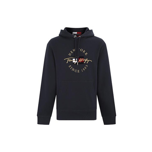 Tommy Hilfiger Hoodie, MW0MW22529-DW5