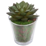 Цветок искусственный «Суккулент» 6*9см в стеклянном горшке ZPY-07