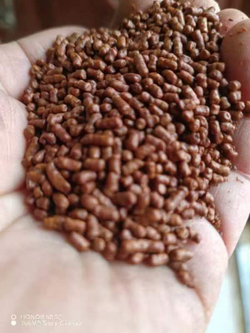 59300 Чай Гречишный "Ку Цяо Чёрная Греча" темная обжарка