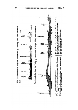 On the flora of the Devonian period in north-eastern America microform | J.W. Dawson