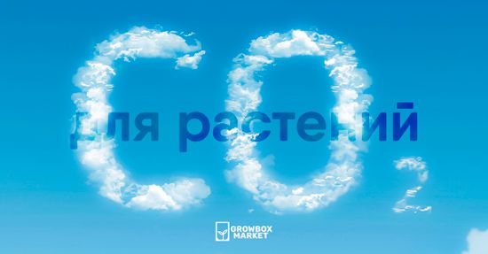 Использования CO2 для выращивания растений