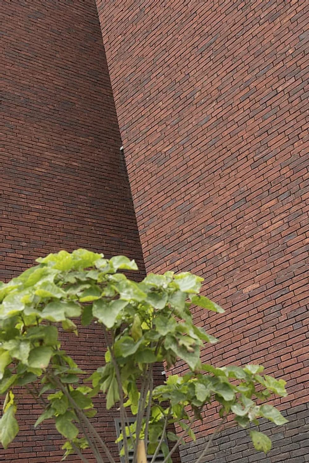 Кирпич ручной формовки облицовочный Nelissen, Veneto, WF50, 210x100x50