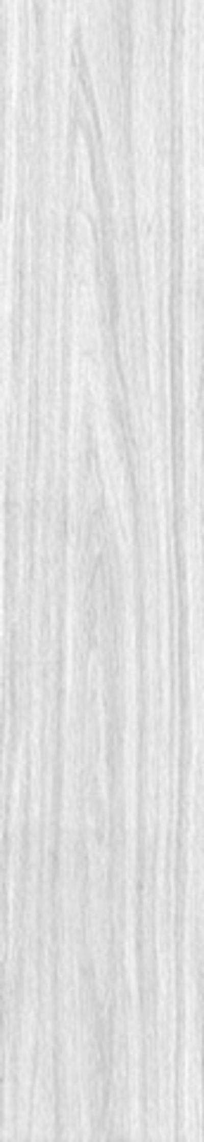 Керамогранит WOOD  Foresta Bianco MATT (ENWD1024MT20120)