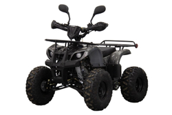 Квадроцикл UNIVERSAL ATV 125 TM Classic
