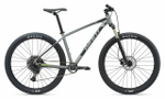 Горный велосипед Giant Talon 29 1 (2020)