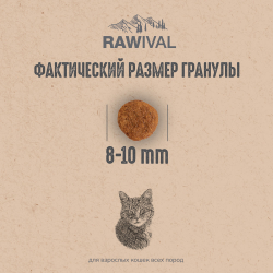 Сухой корм RAWIVAL для кошек с лососем и сельдью - 1,7 кг (Срок до 10.12.2026)