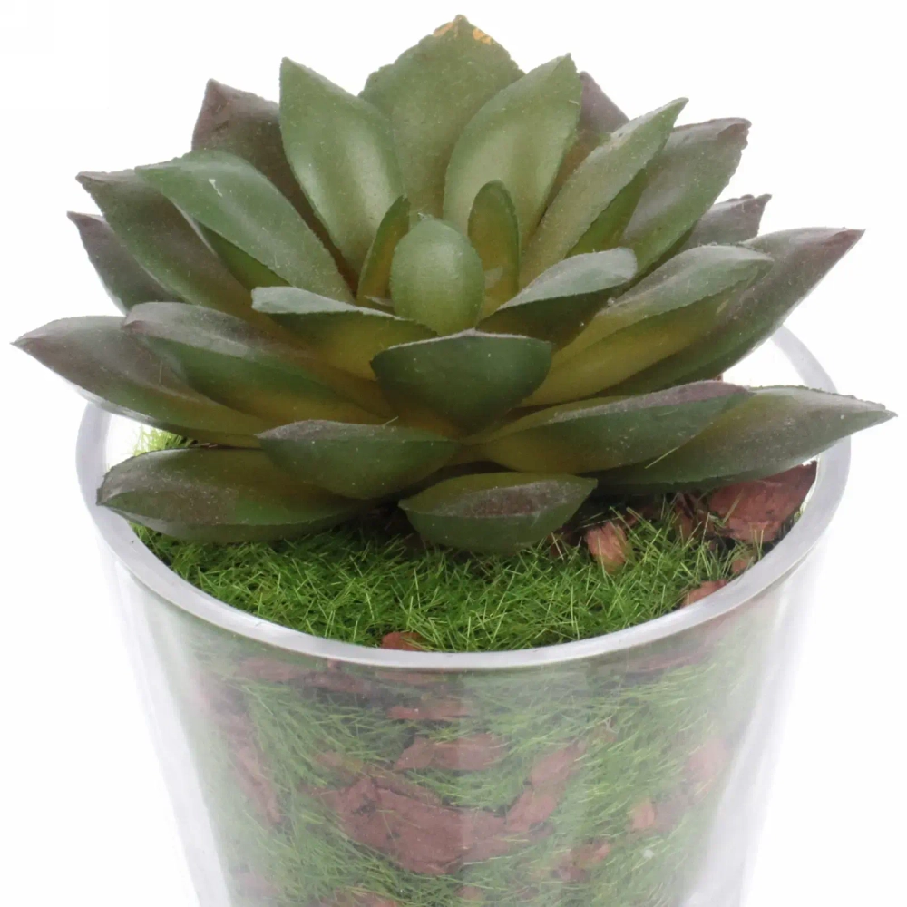 Цветок искусственный «Суккулент» 6*9см в стеклянном горшке ZPY-07
