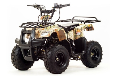 Квадроцикл MOTOLAND 110 Rider (2021 Г.)