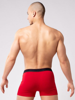 Мужские боксеры из мягкого хлопкового трикотажа (Размер: XXL) (Цвет: красный)