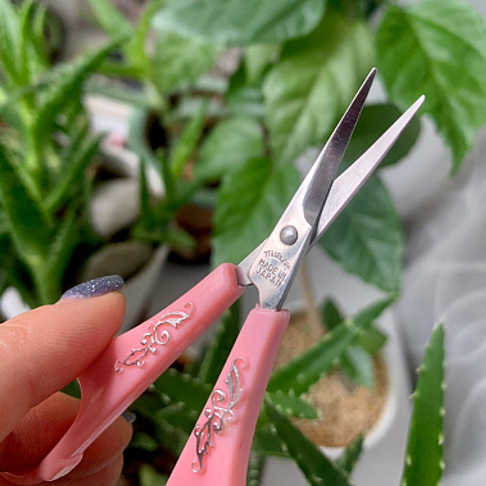 Ножницы с закругленными концами (Curve scissors)