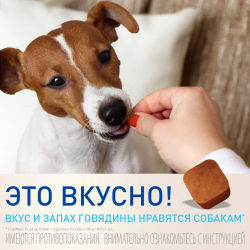 Фронтлайн Нексгард - таблетка жевательная для собак 25-50 кг от блох и клещей (1 таблетка 136 мг), цена за 1 таблетку (в упаковке 3шт)