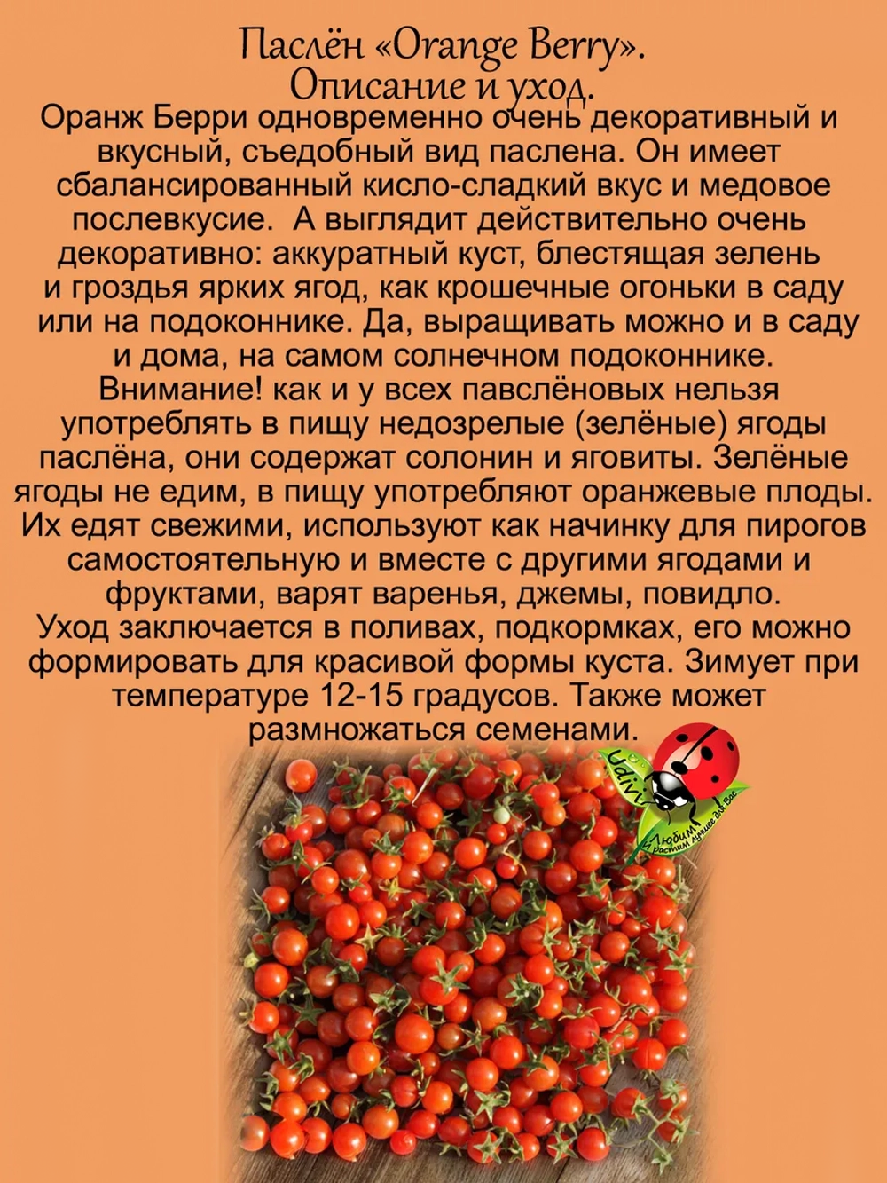 Паслён Оранж Берри съедобный