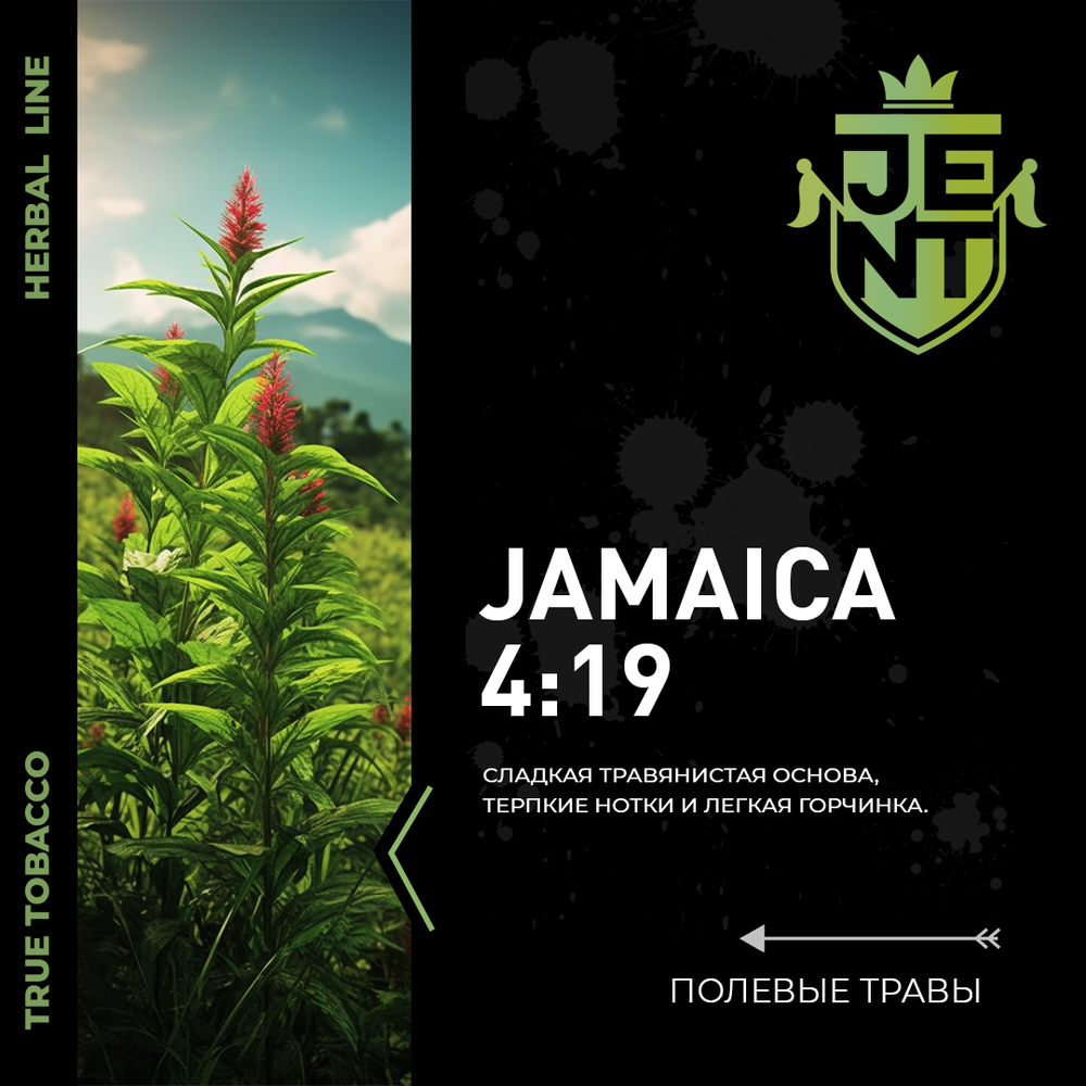 Jent Herbal Line - Jamaica 4:19 (100г)