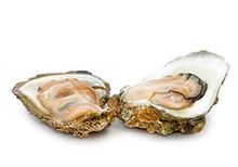 Приморская устрица средняя, шт