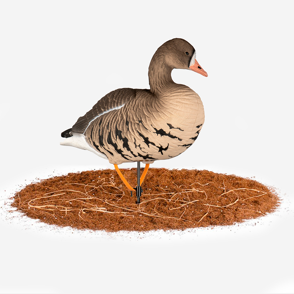 Белолобый гусь Duck Mania "ALFA"