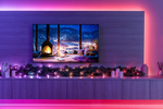 Twinkly Pre-lit Garland Еловая ветвь – 50 RGB диодов, Regal 9ft Garland, зеленый провод, Plug Type C