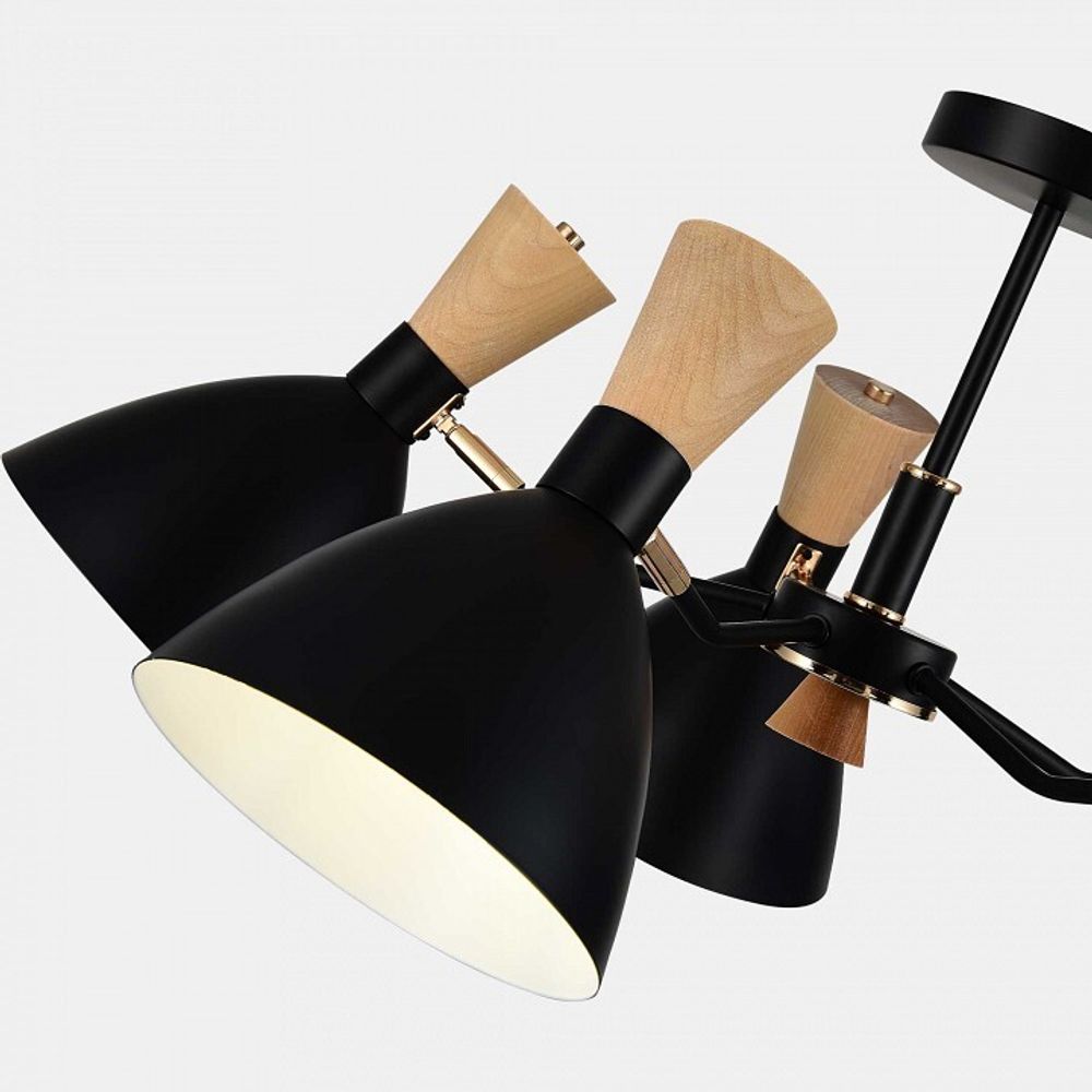 Люстра на штанге EVOLUCE VISTA SLE1256-402-05