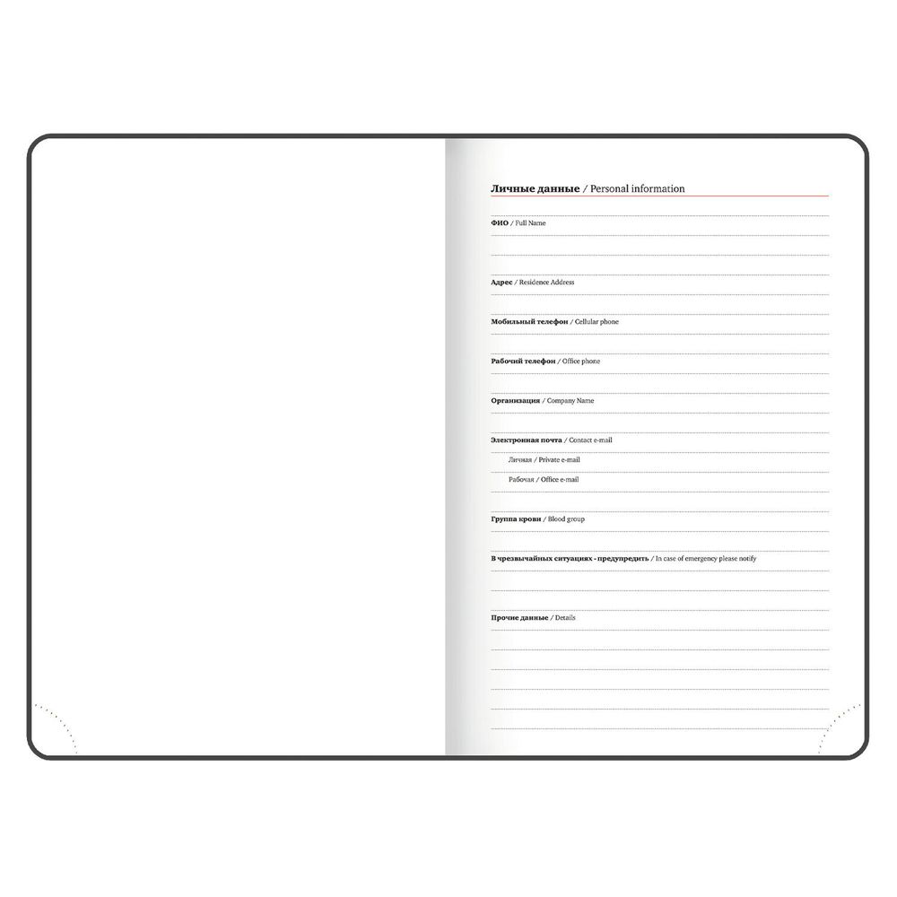 Ежедневник датированный 2026 А5 BRAUBERG "Elegant" (117368) 6