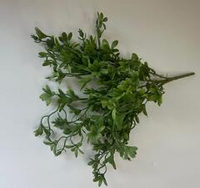 Трава декоративная куст