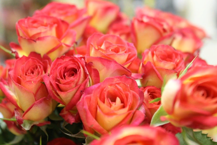 Саммер Дэнс