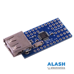 Мини-хост USB 2.0 для ARDUINO PRO MINI